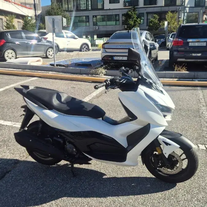 존테스350D (2025) 2