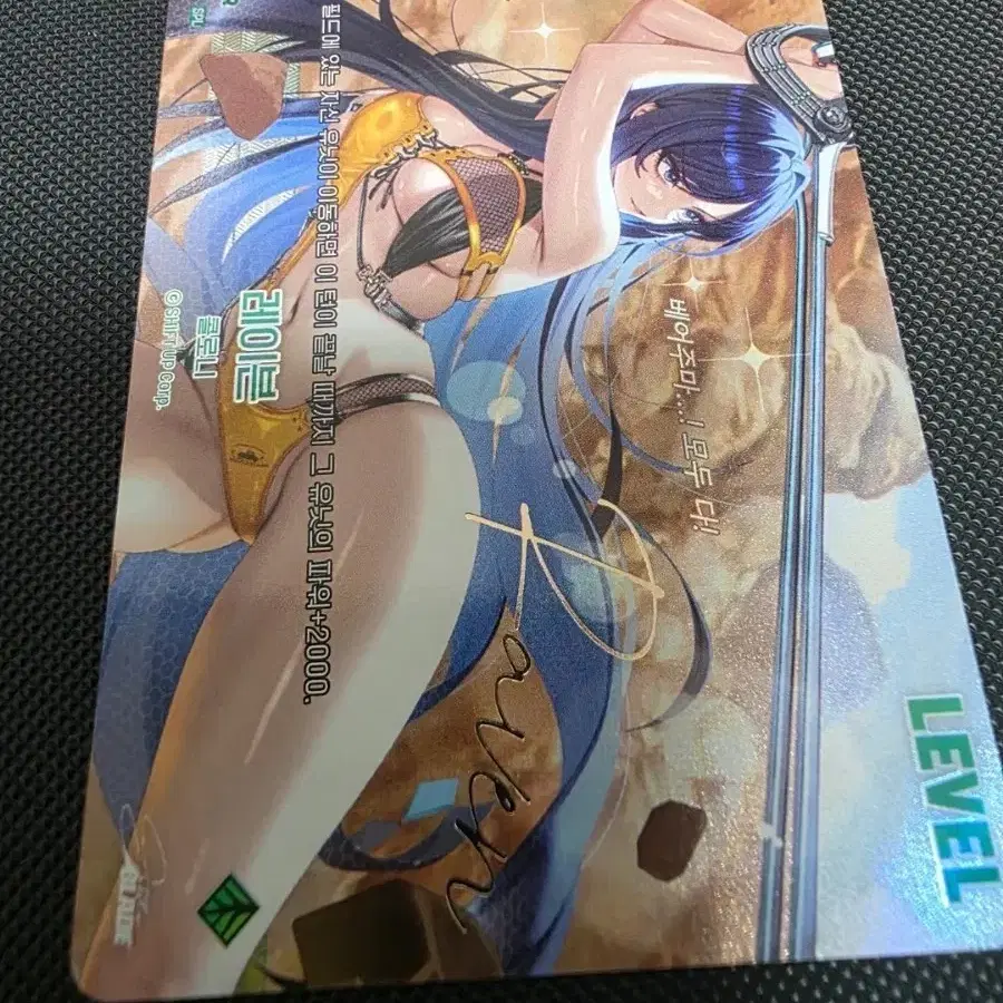 니케 카드 일괄