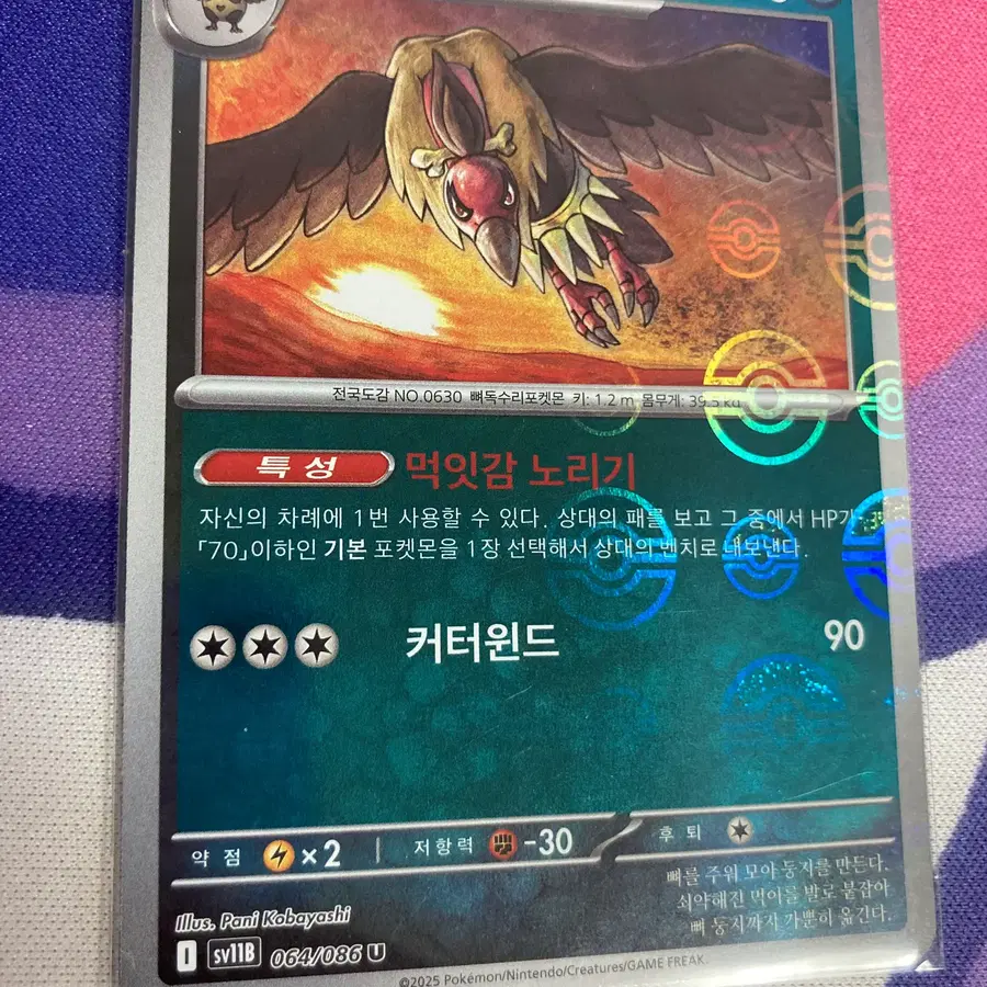 한국) 버랜지나 몬스터볼 홀로 [sv11B 064/086]