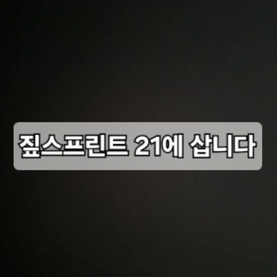 짚스프린트 21에 삽ㄴ다