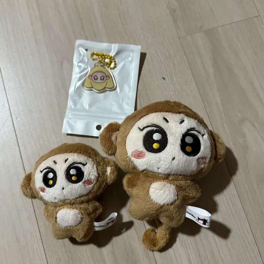 엔하이픈 정원 쩡숭이 끼끼쩡