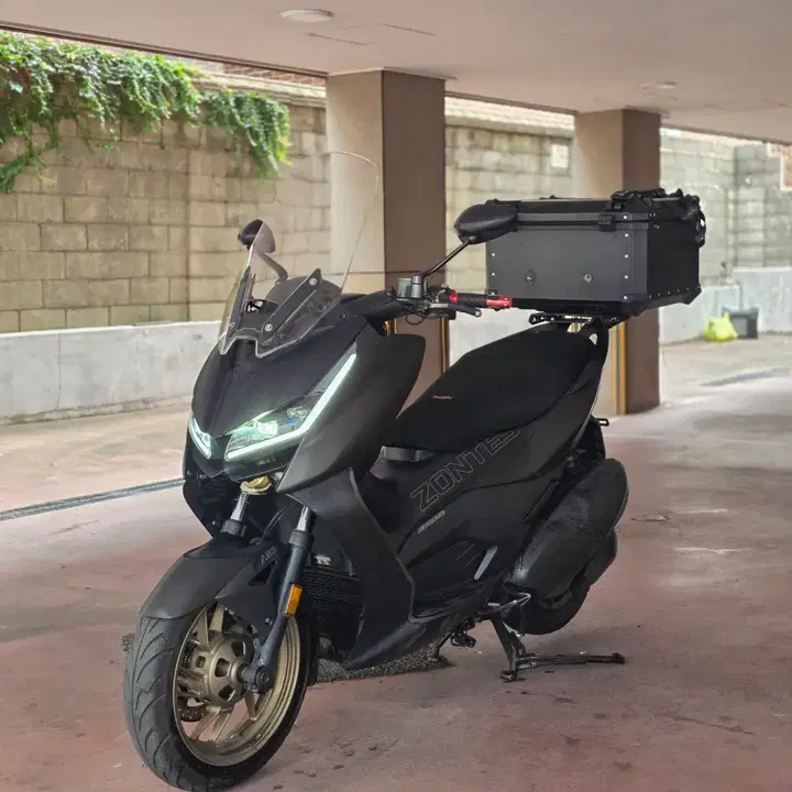 존테스350D (2024) 2