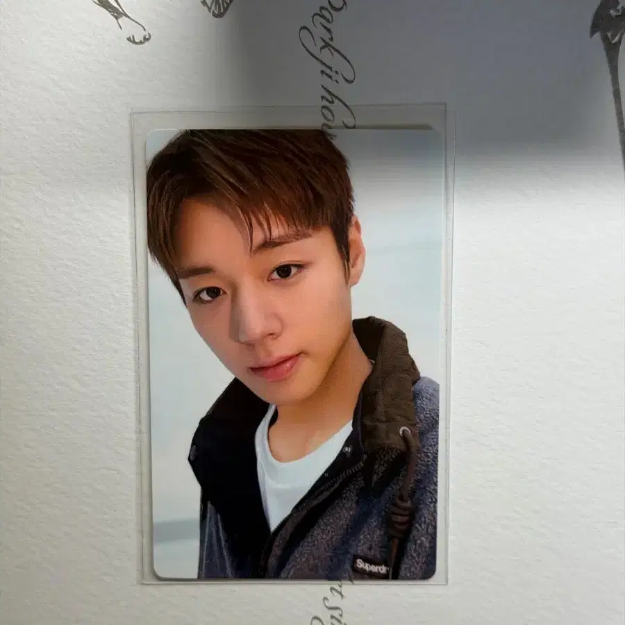박지훈 슈퍼드라이 포카