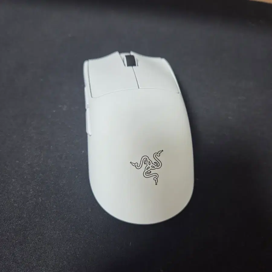레이저 바이퍼 v4