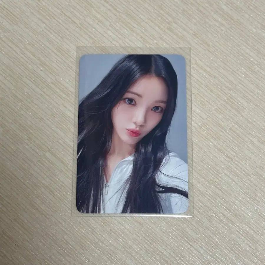 하츠투하츠 하투하 유하 더체이스 포카 포토카드 예판 특전 럭드