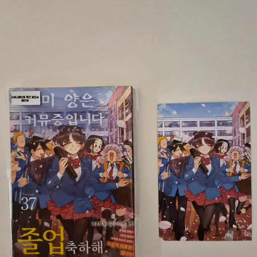 코미 양은 커뮤증입니다 37권+애니메이트특전 +추가특전