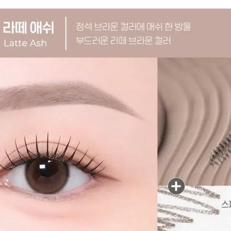 페리페라 브로우카라 라떼애쉬