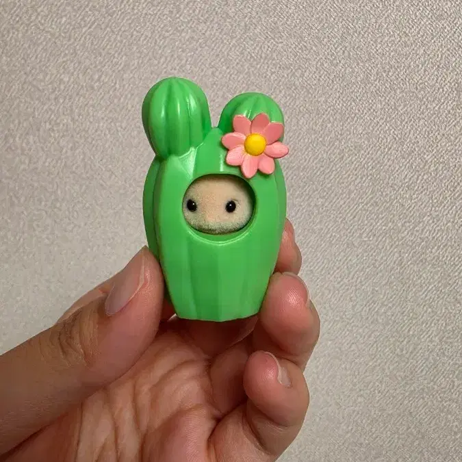 실바니안 선인장