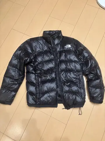 THE NORTH FACE 다운 자켓