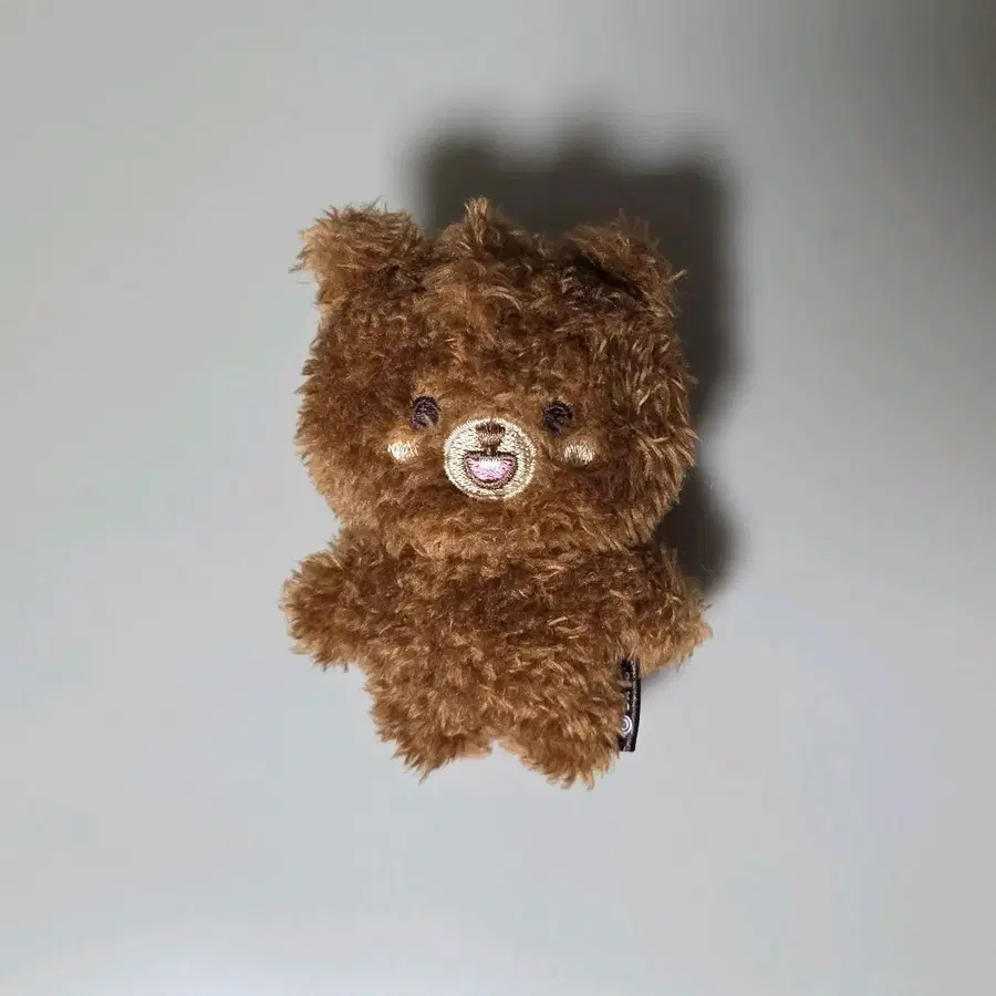 데이식스 쁘띠멀즈 마그넷 방