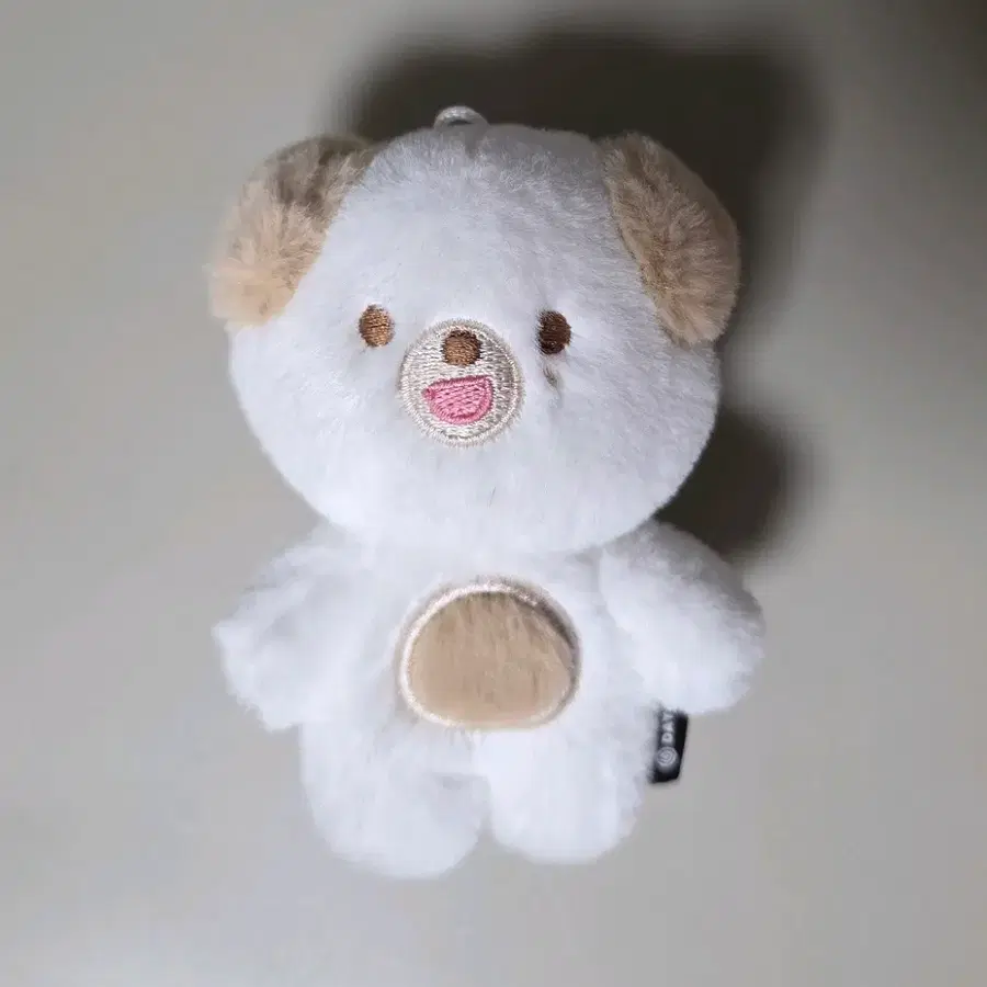 데이식스 쁘띠멀즈 돈 도운
