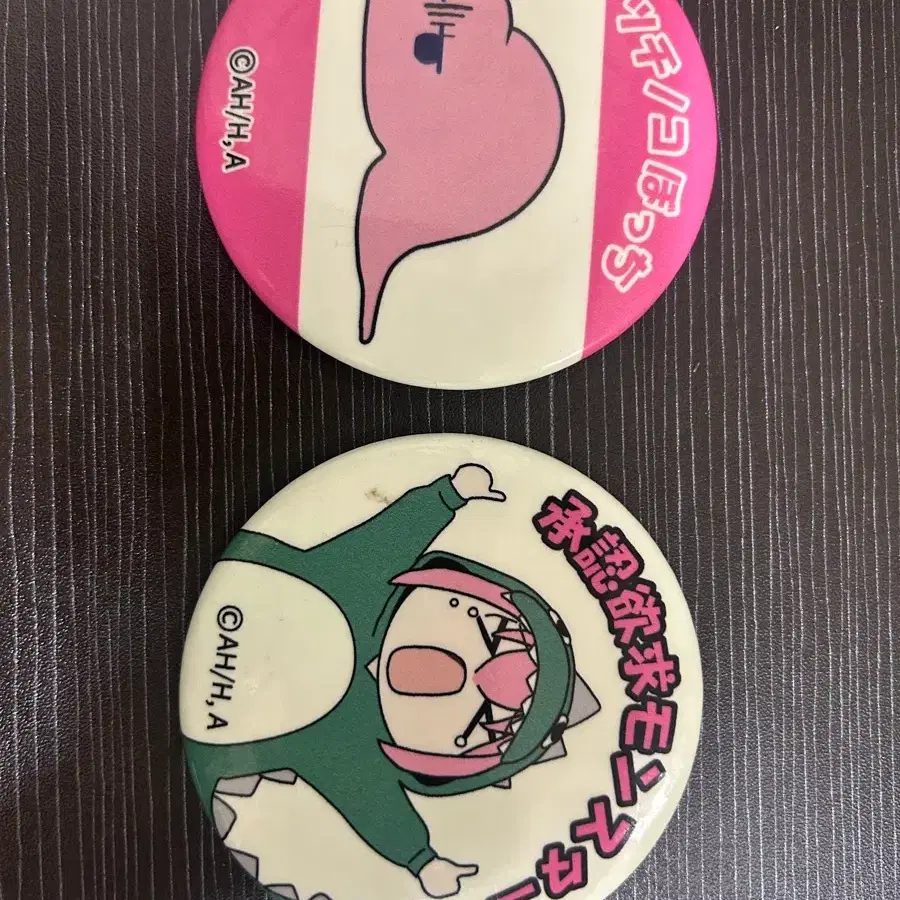 봇치더락 봇치 캔뱃지