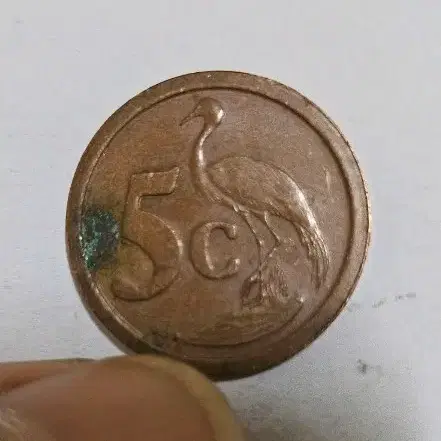 남아프리카 공화국 1992년 5센트 동전(외국주화)286