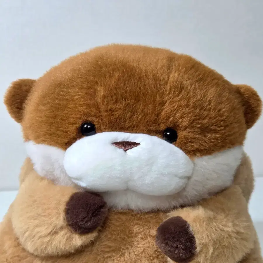 [우소우소짱 인형] 속았지
