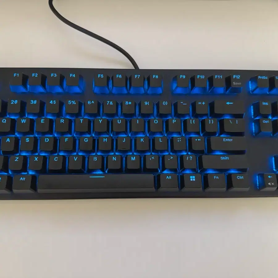 리얼포스 GX1 텐키리스 30g