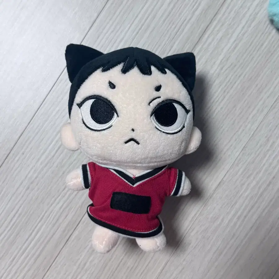 텐냥이 15cm 웨이션브이 wayv nct 엔시티 인형 굿즈