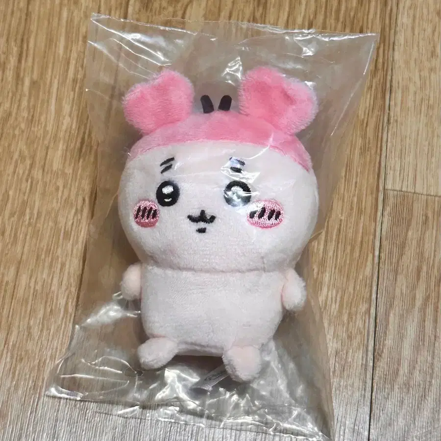 치이카와 앉은누이 카니
