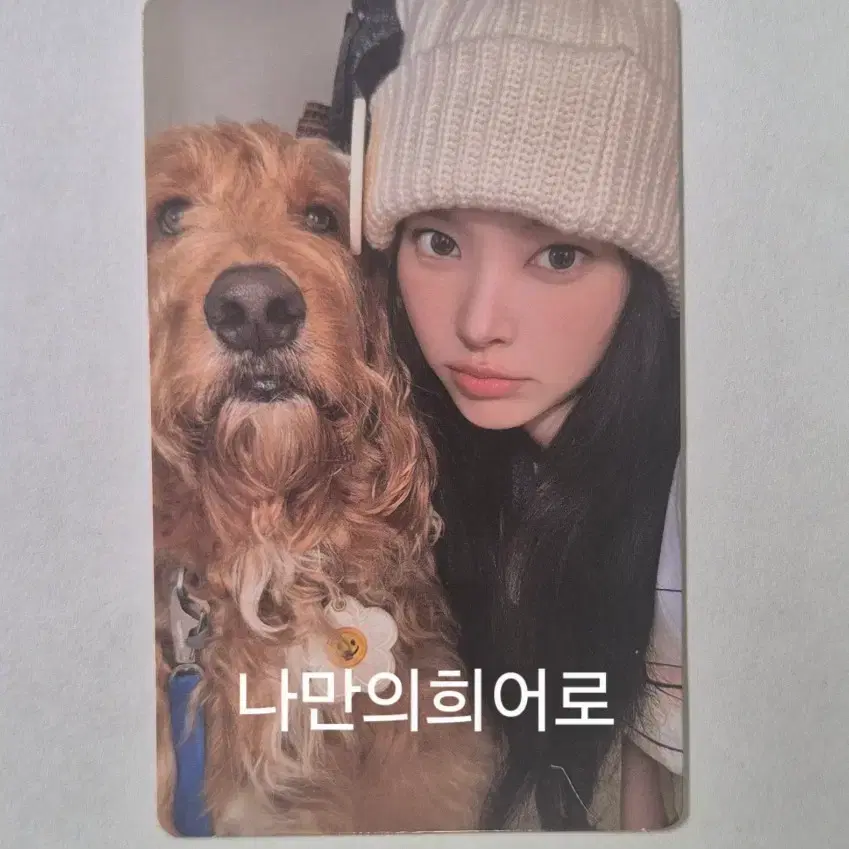 아일릿 윤아 마밀라피나타파이 paw paw 버전 앨범 포토카드 MAMIHLAPINATAPAI paw paw ver pc photocard 판매