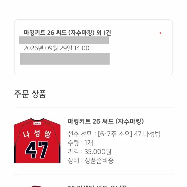 써드 새제품 KIA 타이거즈 나성범 자수마킹