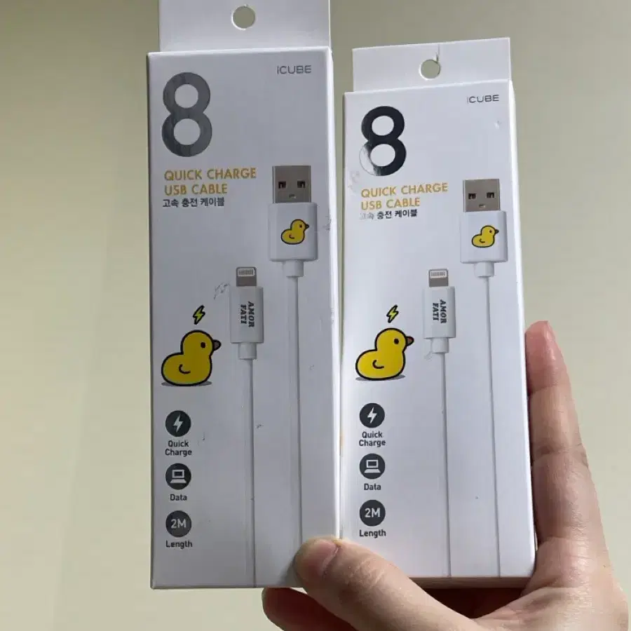 아이큐브 8 고속충전 USB 케이블 (길이 2M)