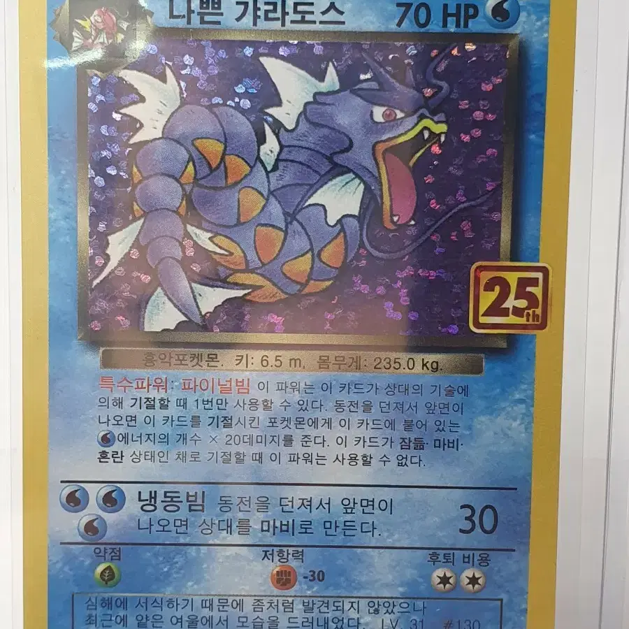 나쁜 갸라도스 25주년 기념 카드