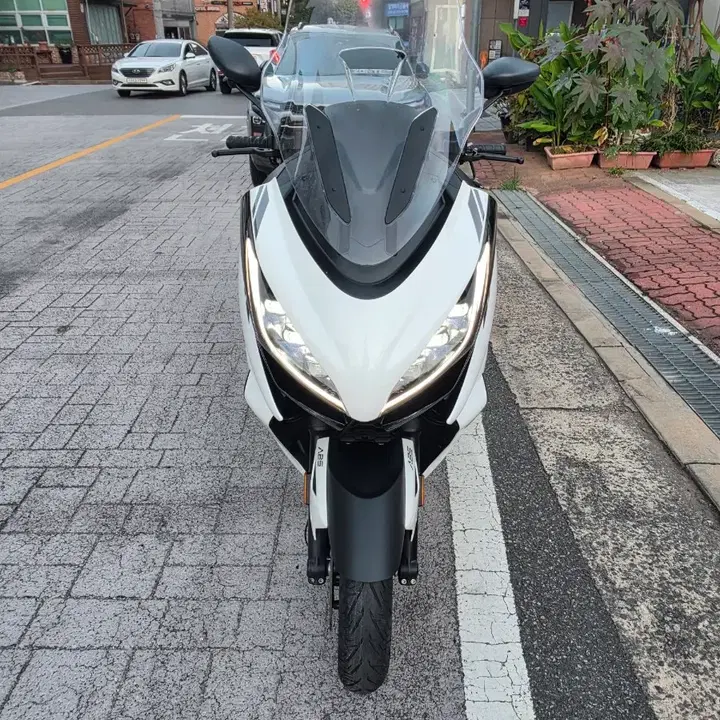 존테스125E (2025) 2