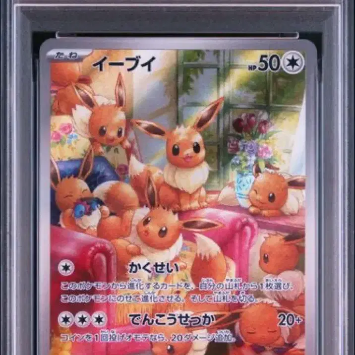 포켓몬카드 일판 이브이 078/066 PSA10
