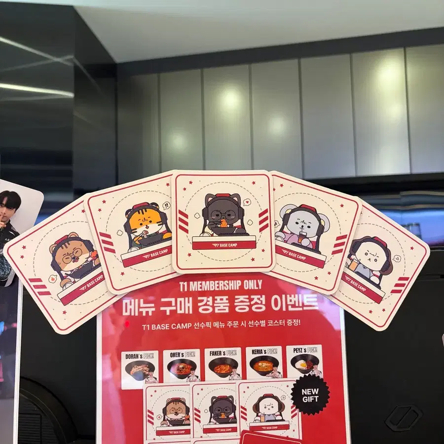 T1 티원 강남 베이스캠프 온세티 코스터 도오페페케 일괄
