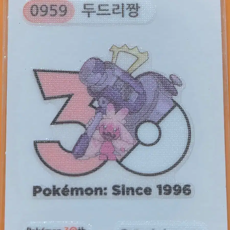 포켓몬띠부씰 1013로고_두드리짱