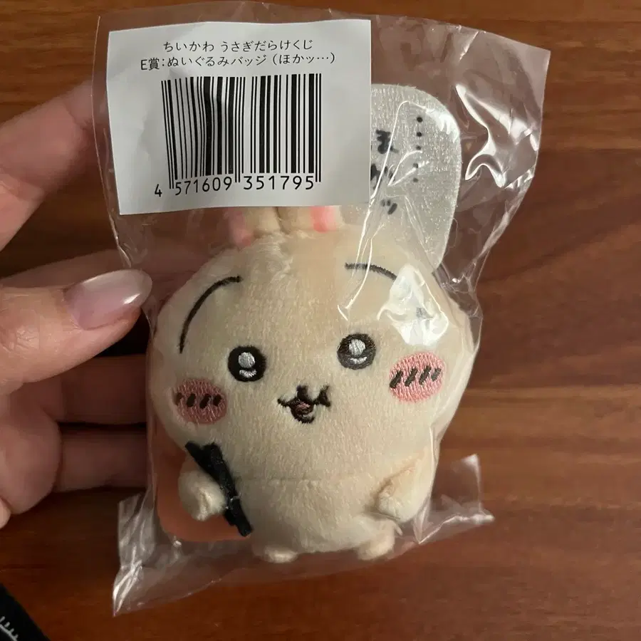 치이카와 우사기 제일복권 E상