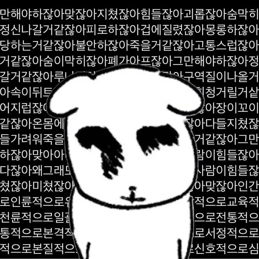 (구매/매입) 옵챔스 슈 shu 포카 포토카드 양도 구합니다