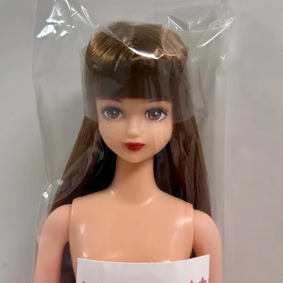 리카캐슬 시온