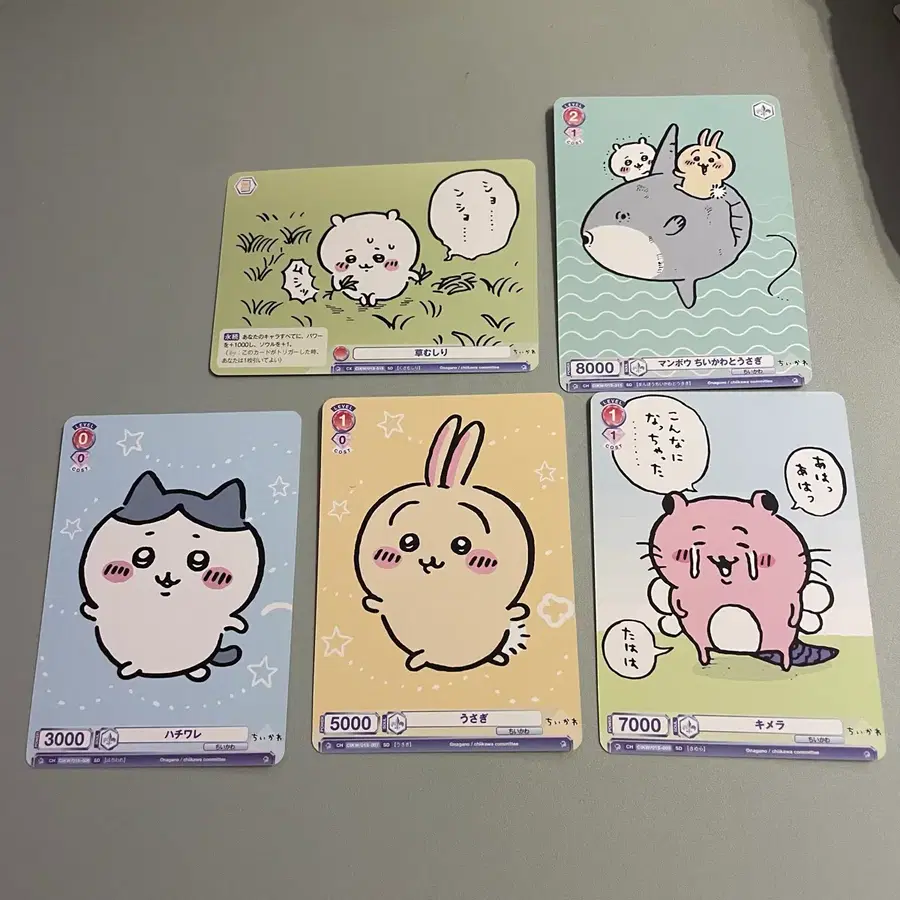 치이카와 슈발츠 카드 5장 일괄