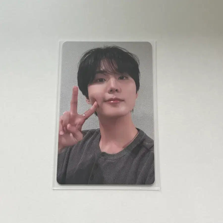 데이식스 영케이 영기스트 팬즈 럭드 포카