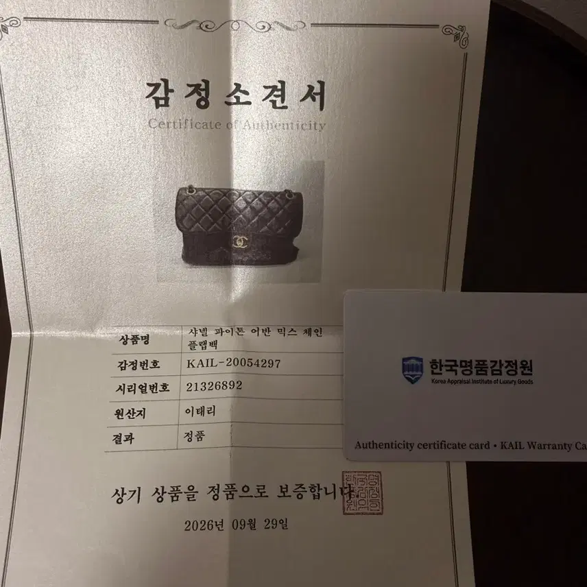 샤넬 파이톤 어번믹스 체인 플랩백 사진 8