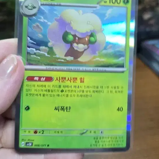 포켓몬 카드 엘풍 sv5k 008/071
