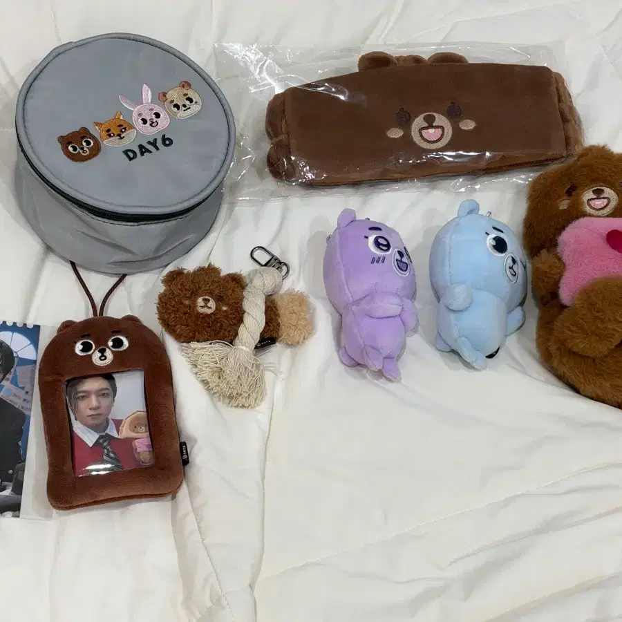 데이식스 데니멀즈 시크릿 방 파랑색