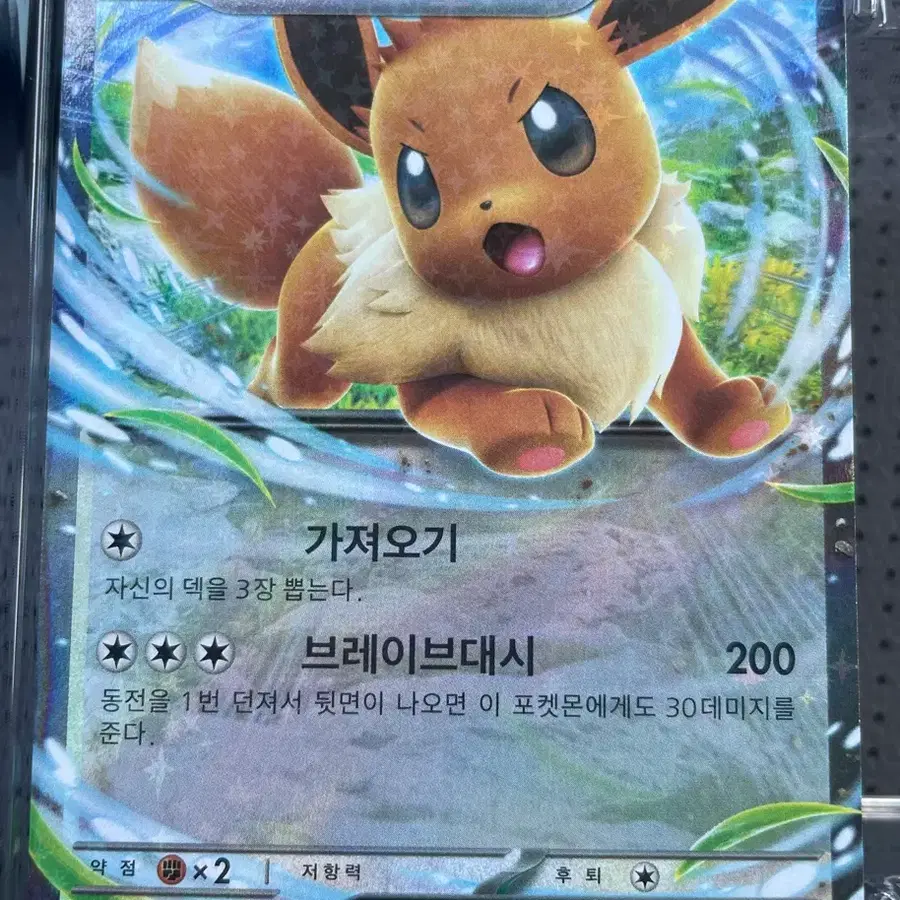 포켓몬카드 이브이 Ex