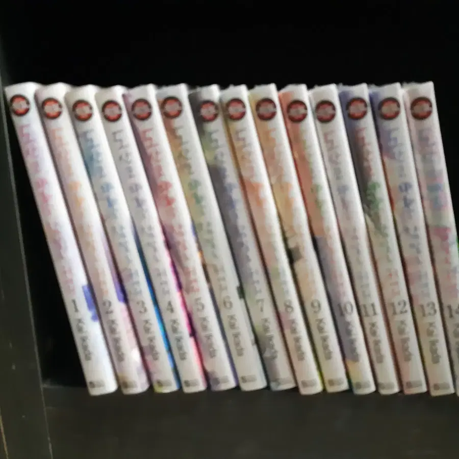 도산코 갸루는 참말로 귀여워 소장본 1-14 완결 중고만화책 만화짱많아 프로안전상점
