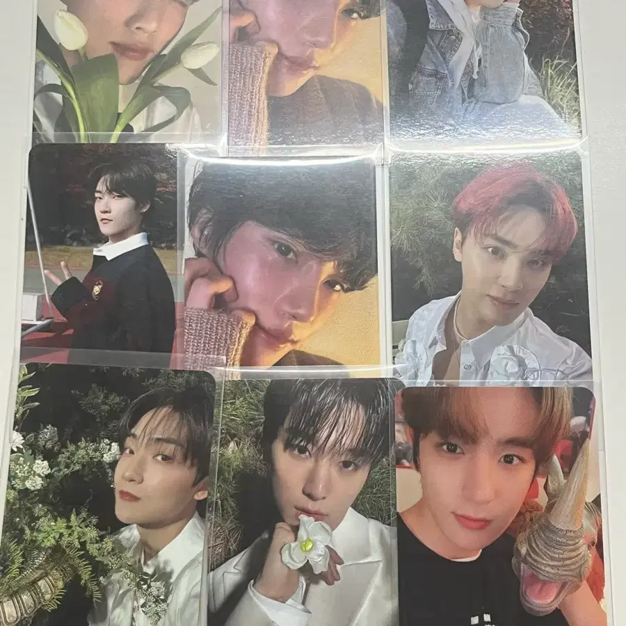 더보이즈 포카 일괄 양도