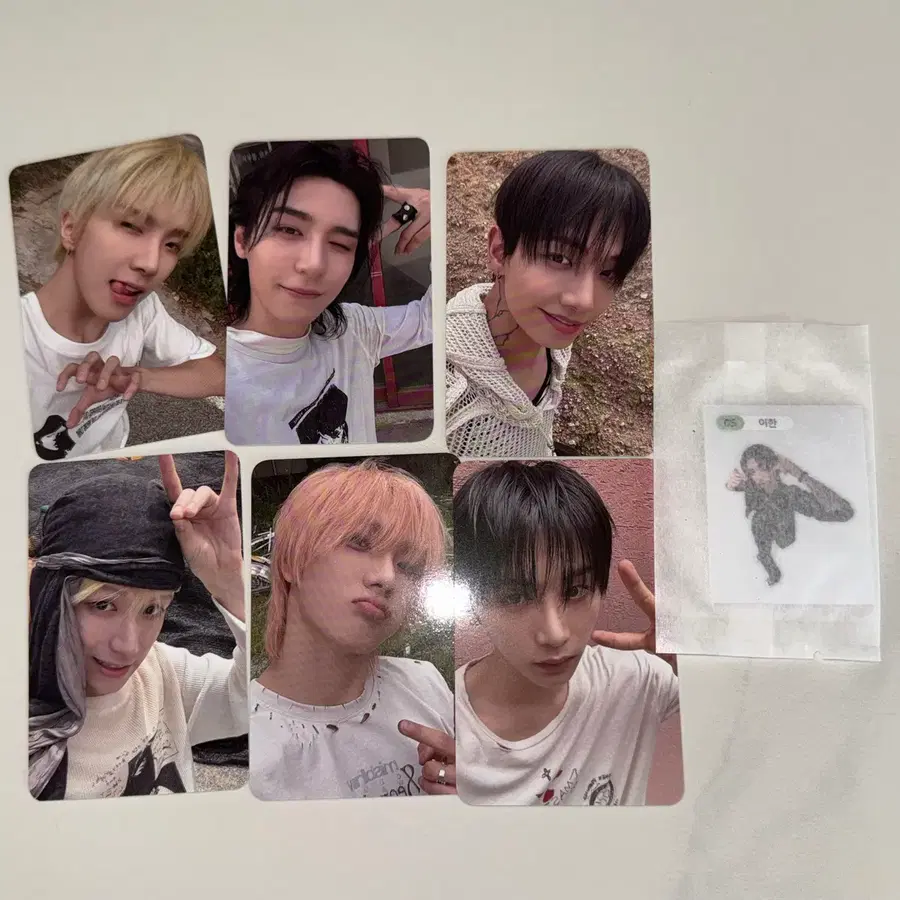 보넥도 보이넥스트도어 boynextdoor home animal 공방 포카세트 photocard 이한 띠부띠부씰