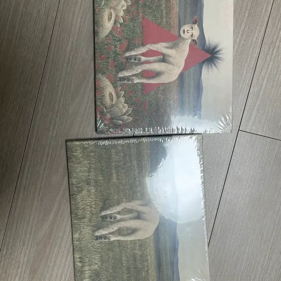 쏜애플 한정반 동물cd & 불구경 라이터