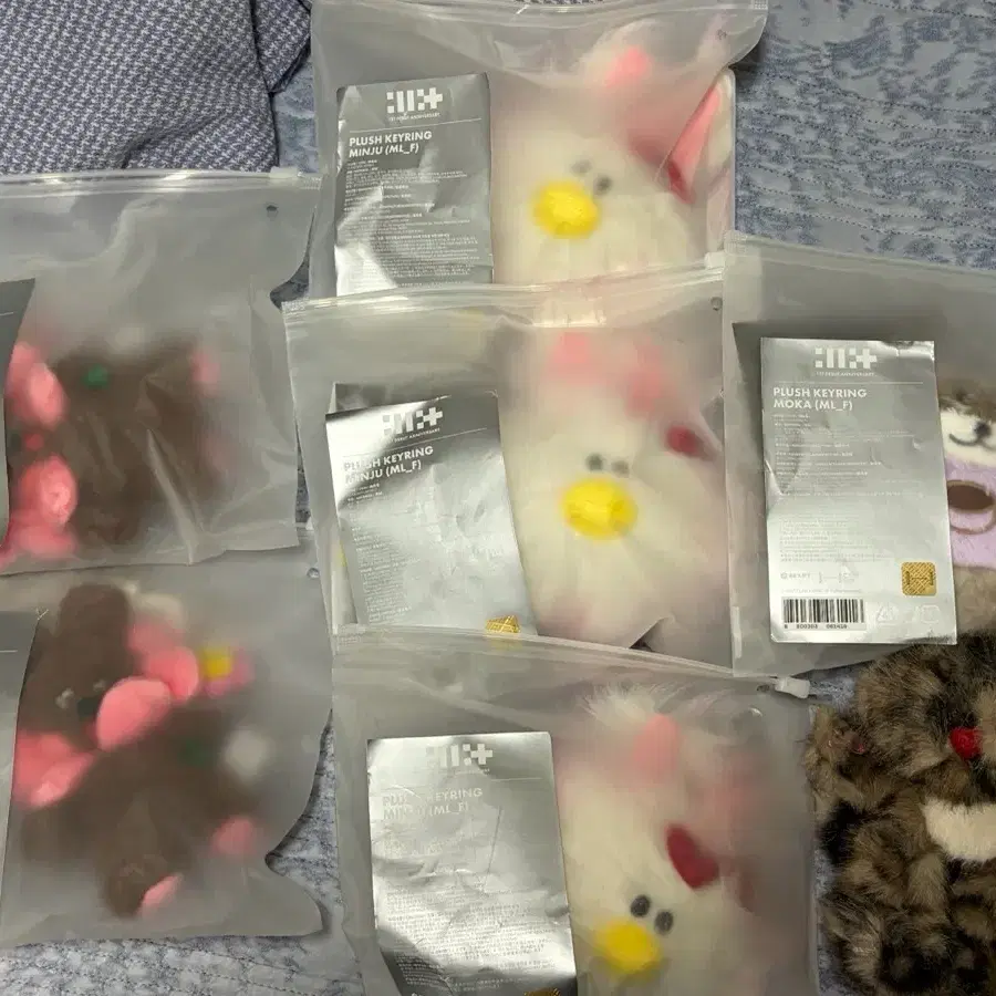 아일릿 1주년 기념 인형 키링 곰돌희 오끼 라떼 노치치 일괄