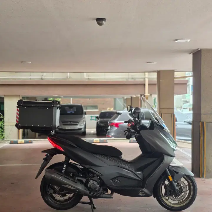 존테스350D (2024) 4
