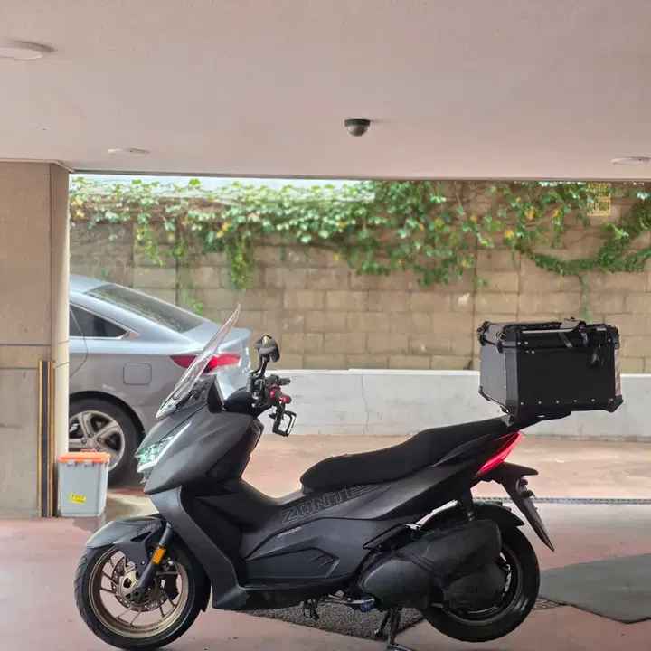 존테스350D (2024) 5