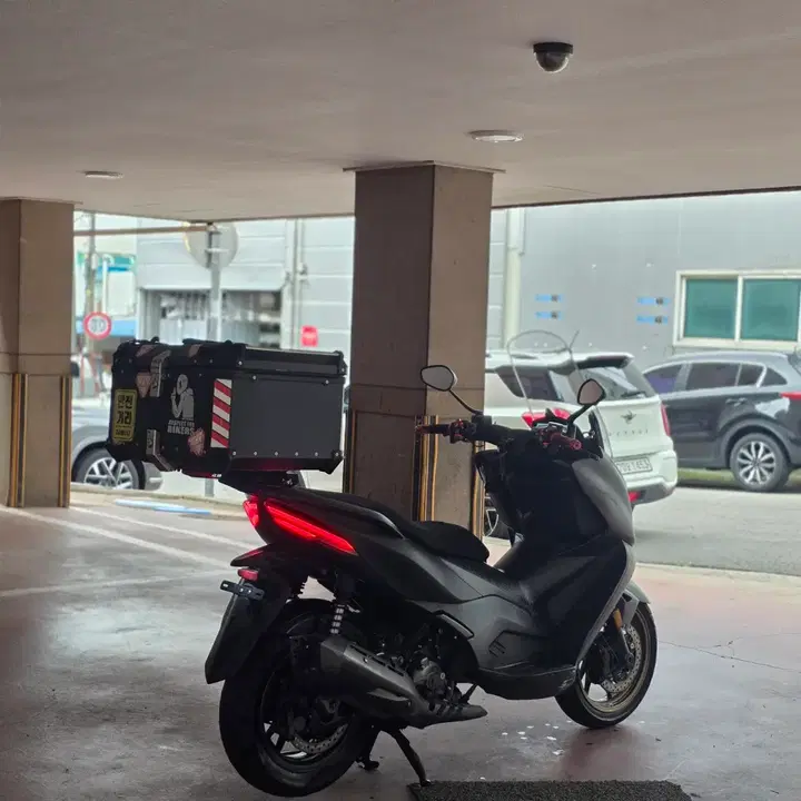 존테스350D (2024) 6