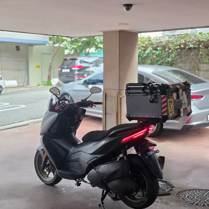 존테스350D (2024) 8