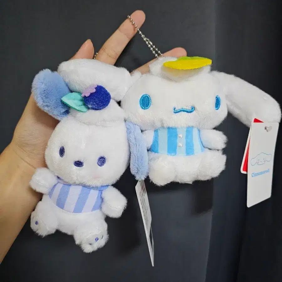 산리오 포차코 블루베리 시나모롤 레몬 인형 일괄가격