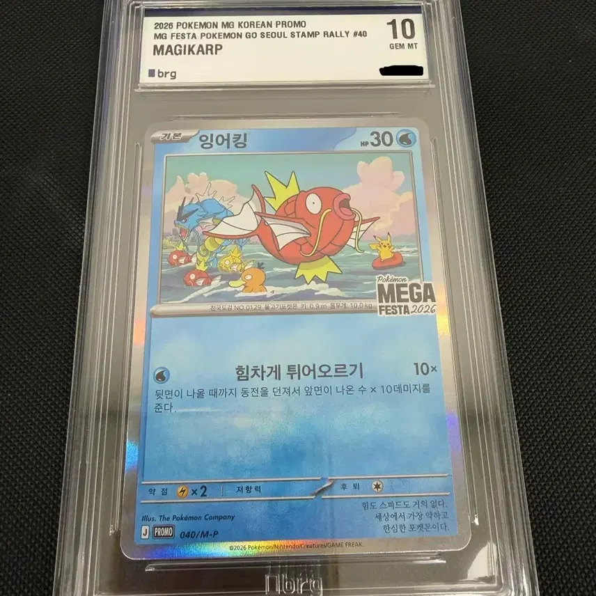 포켓몬카드 잉어킹 MG 페스타 프로모 brg 10