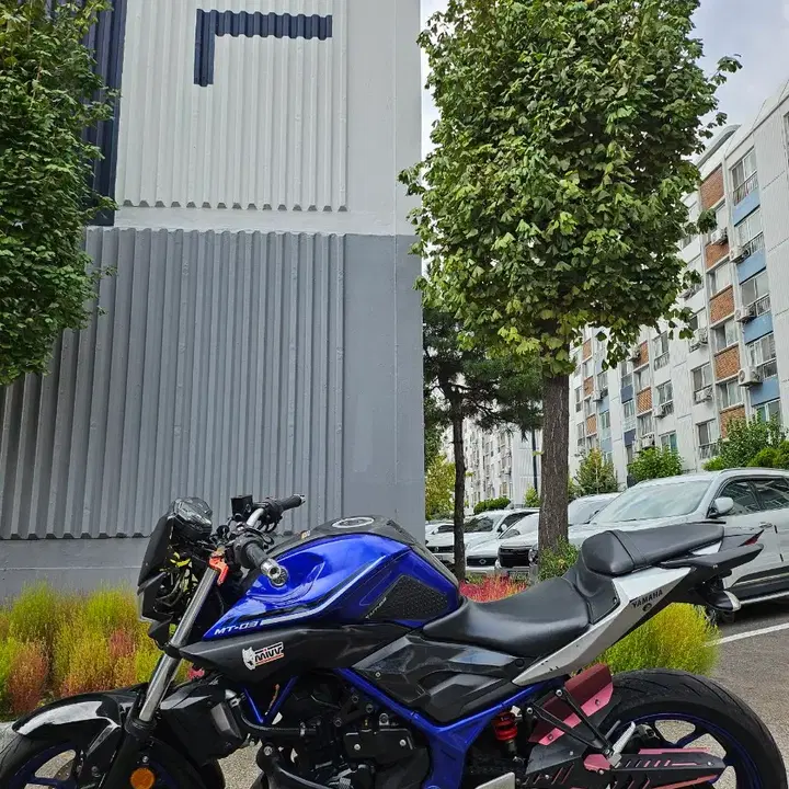 MT03 (2017) 2